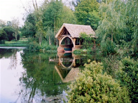 landscape3